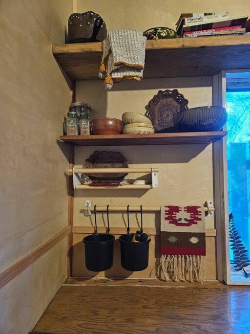 Blue Dog Accommodations Eastend Bagian luar foto