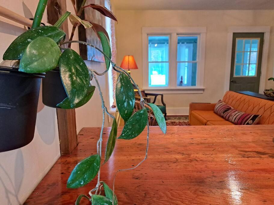 Blue Dog Accommodations Eastend Bagian luar foto